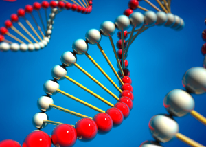 DNA sequencing