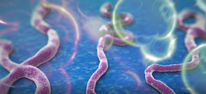 Ebola Virus