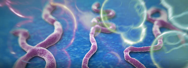 Ebola Virus