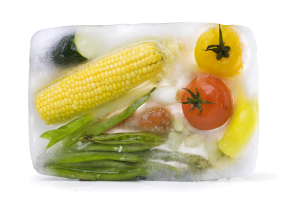 Frozen Foods Experts