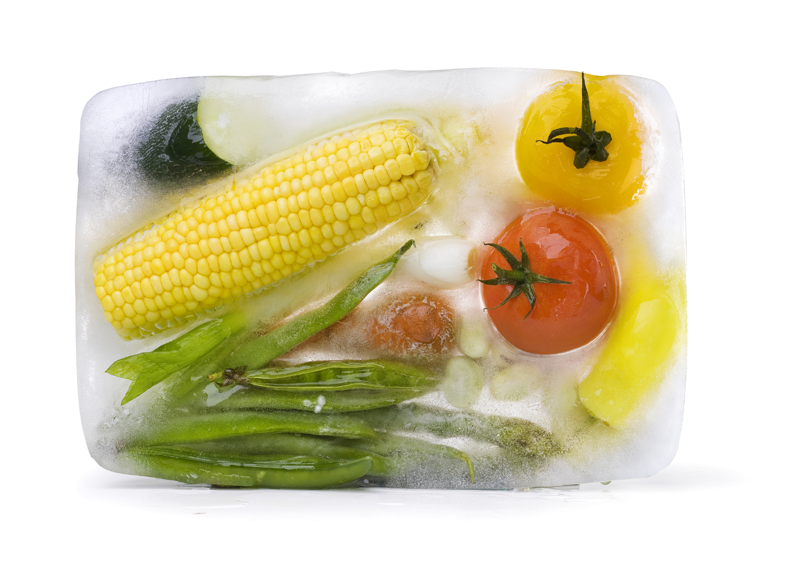 case-study-breaking-the-ice-frozen-foods-experts
