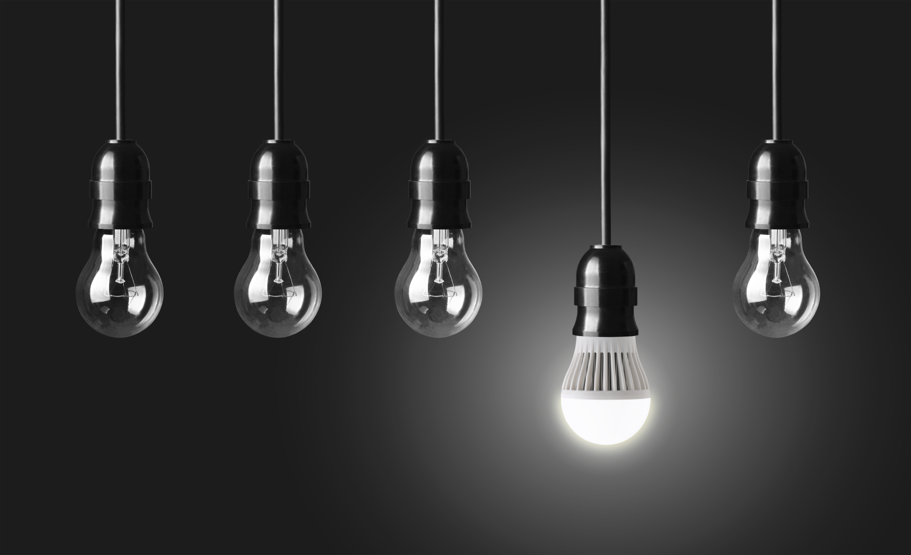 shine a light light