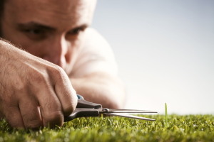 iStock_000021270771_Large
