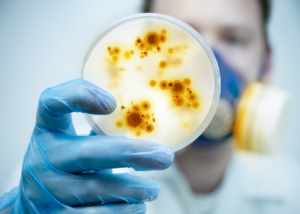 Clostridium difficile Clinicians