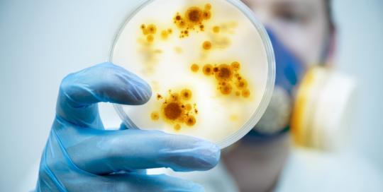 Clostridium difficile Clinicians