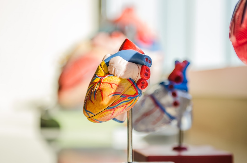 Imaging in Structural Heart Procedures