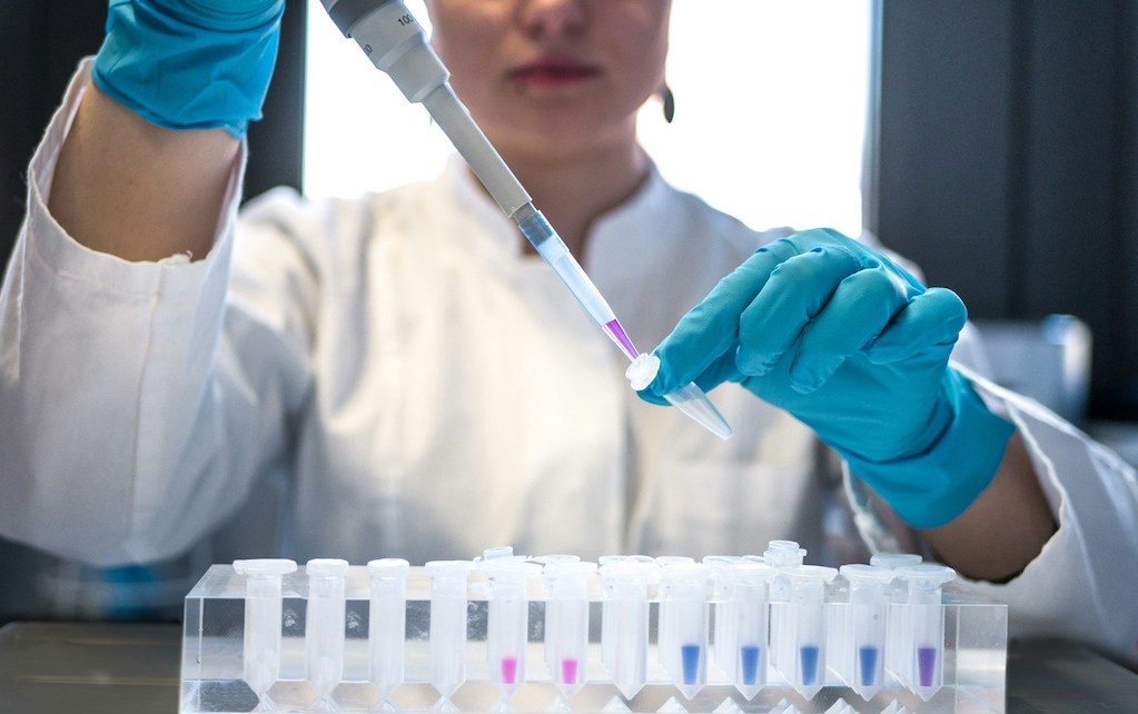 Biosynthetic Pathway Development