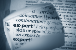 Expert Interview