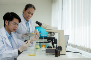 Syngas from CO₂ Electrochemical Reduction