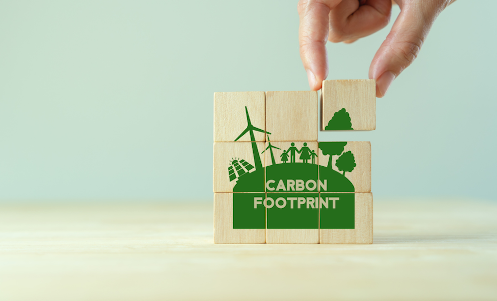 Carbon Footprint Impact within Healthcare Settings