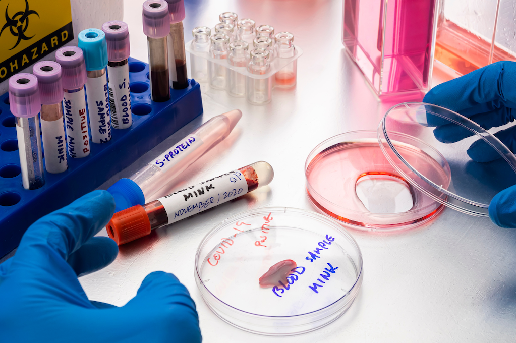 Cytology in Pathology