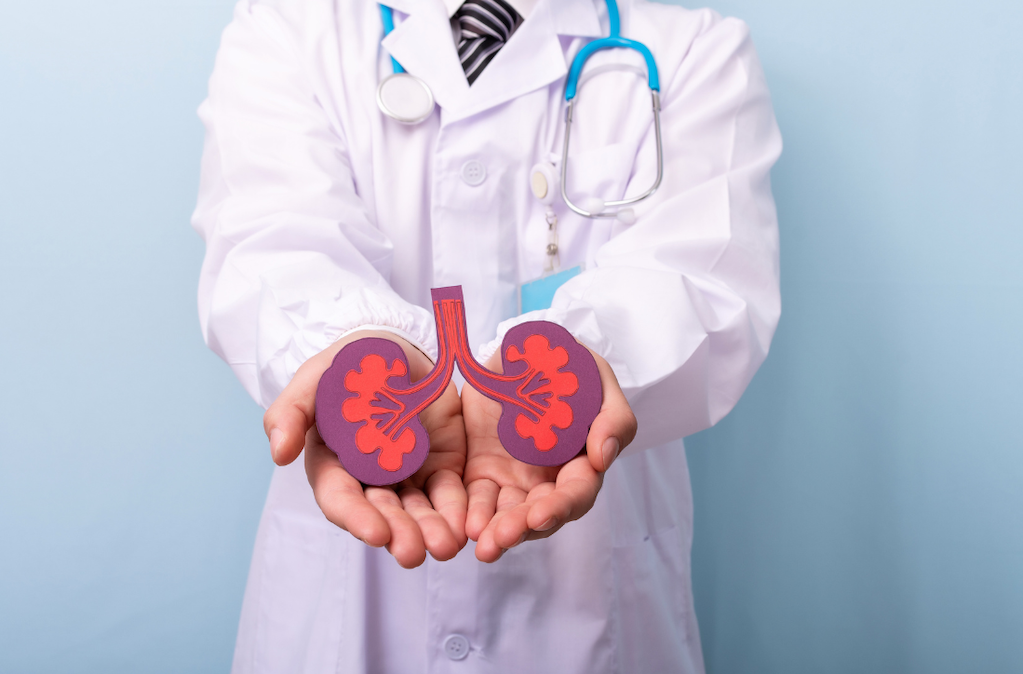 Nephrologist focusing on Chronic Kidney Diseases