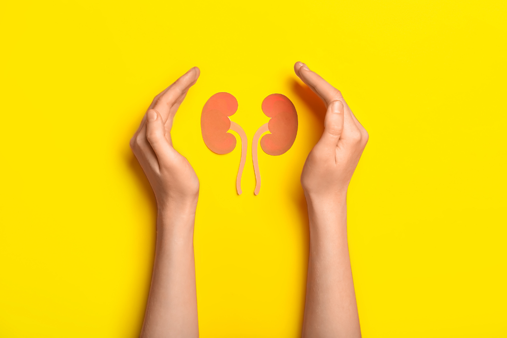 Nephrology Expertise in Glomerular Disease Management