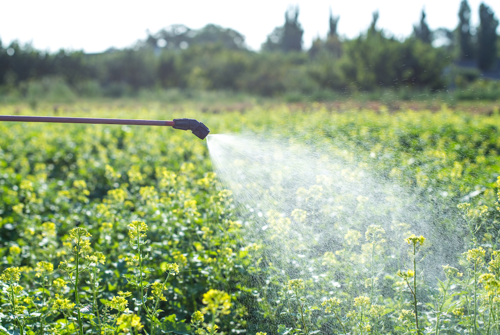 Transition Strategies in Agricultural Chemicals Manufacturing