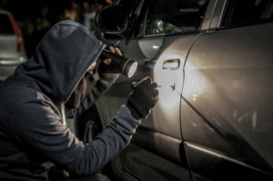 Vehicle Fraud & Theft