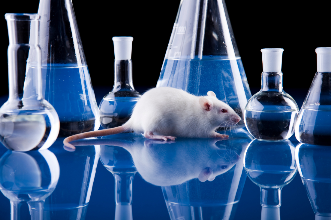 Transgenic Animal Models