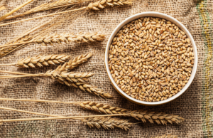 Grain Quality Testing Instruments and Monitoring Solutions Market
