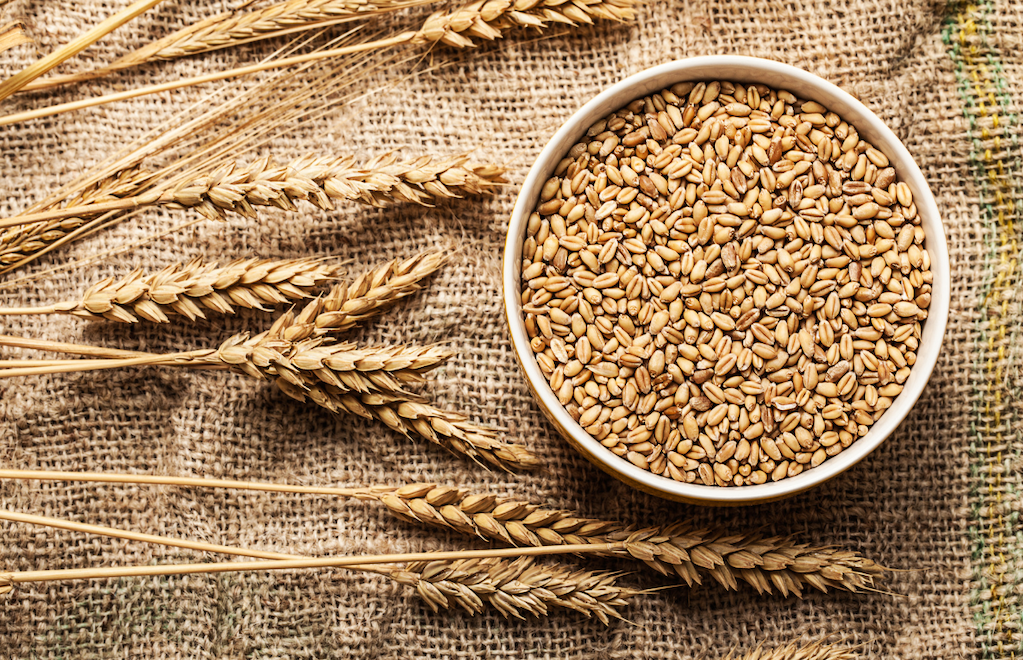 Grain Quality Testing Instruments and Monitoring Solutions Market