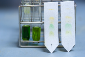 Chromatography in Bioprocessing