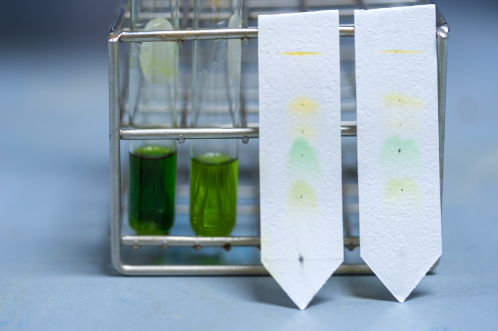 Chromatography in Bioprocessing