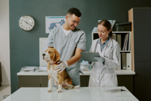Veterinary Platform Acquisitions and Market Dynamics